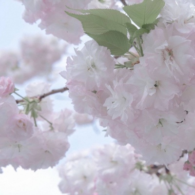 兽设故事创作思路福瑞交流群